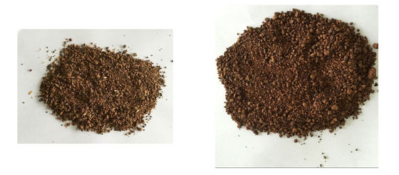 13% Saponin Paket 25kg Kantong Teh Biji Roti