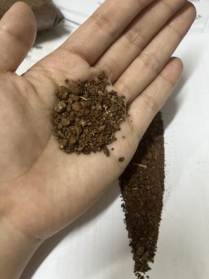 Pupuk Teh Kecambah Benih Budidaya 23069000 Untuk Udang Dan Kepiting