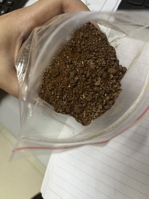 Straw Brown Tea Seed Meal Untuk sifat Antioksidan Hortikultura
