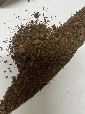 Fertilizer To Prevent Moss Tea Seed Meal