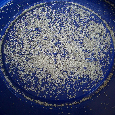 UN 2880 Kalsium Hipoklorit 70 Bubuk Putih Granular Klorin Bau